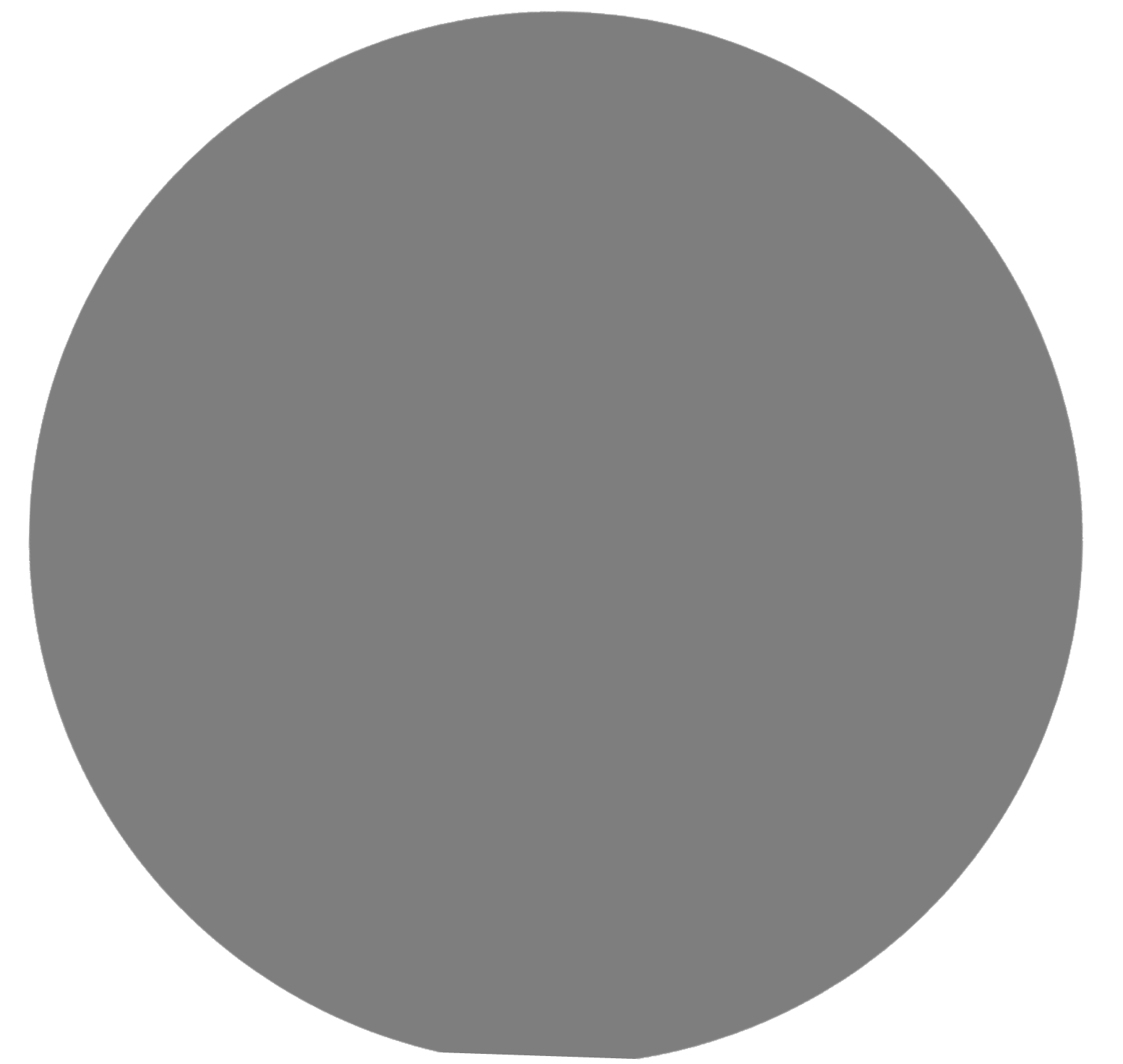 Light gray circle